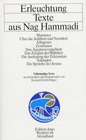 Buchcover Die Nag-Hammadi-Texte / Erleuchtung - Texte aus Nag Hammadi
