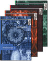 Buchcover C.G. Jung - Das Universum der Seele