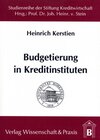 Buchcover Budgetierung in Kreditinstituten.