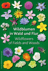 Buchcover Wildblumen in Wald und Flur