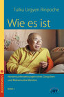 Buchcover Wie es ist - Band 2