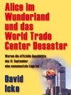 Buchcover Alice im Wunderland und das World Trade Center Desaster