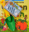 Buchcover Das total verrückte Gartenbuch
