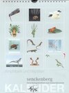 Buchcover Amphibien und Reptilien