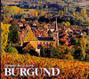 Buchcover Farbbild-Reise durch Burgund