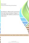 Buchcover Identifikation differentiell exprimierter Gene der Gerste (Hordeum vulgare L.) nach BYDV-PAV Infektion anhand von cDNA-A