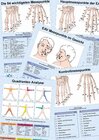 Buchcover Komplettset 5 Info-Blätter für die Elektroakupunktur- und Resonanztherapie   (Info-Blätter, DIN A4, laminiert, gelocht)