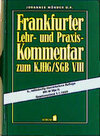Buchcover Frankfurter Lehr- und Praxiskommentar zum KJHG/SGB VIII