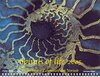 Buchcover Spirals of Life 2005