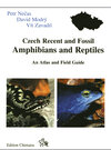 Buchcover Czech recent and fossil Amphibians and reptiles