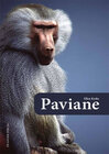 Buchcover Paviane