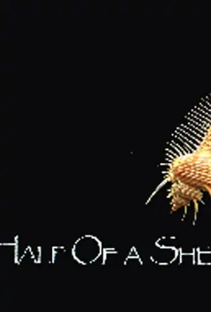 Buchcover ISBN 9783930954971