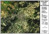 Buchcover Berlin und Umgebung - Satellitenbildkarte