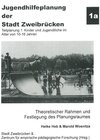 Buchcover Jugendhilfeplanung der Stadt Zweibrücken