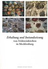 Buchcover Erhaltung und beispielhafte Instandsetzung von Feldsteinkirchen in Mecklenburg