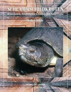 Buchcover Schlammschildkröten