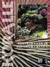 Buchcover Steinkorallen im Aquarium