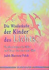 Buchcover Die Wiederkehr der Kinder des Lichts