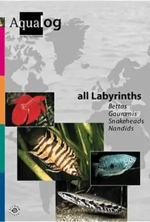 Buchcover ISBN 9783931702212