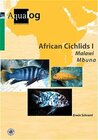 Buchcover African Cichlids I