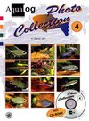 Buchcover Aqualog Photo Collection / Salmler 3