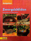 Buchcover Ratgeber Zwergcichliden
