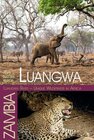 Buchcover Luangwa River – Unique Wilderness in Africa