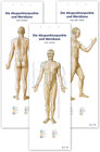 Buchcover Akupunktur-Poster-Set