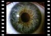 Buchcover Weiterbildung in der Augen-(Iris)diagnose