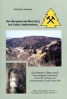 Buchcover Der Bergbau am Beerberg bei Sankt Andreasberg