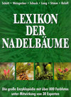 Buchcover Lexikon der Nadelbäume