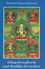 Buchcover Alltagsbewußtsein und Buddha-Erwachen