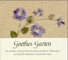 Buchcover Goethes Garten
