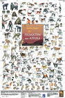 Buchcover Primaten aus Afrika