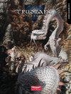 Buchcover Trudvang Chronicles Zauberweber