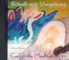 Buchcover Geführte Meditationen