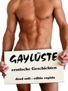 Buchcover Gaylüste - erotische Geschichten
