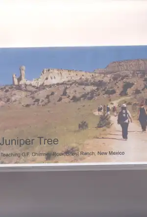 Buchcover ISBN 9783934449121