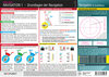 Buchcover Navigation 1