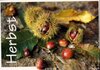 Buchcover Herbst