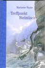 Buchcover Treffpunkt Steintisch