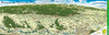 Buchcover Panorama des Weinlandes Pfalz