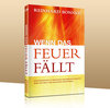 Buchcover Wenn das Feuer fällt