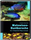 Buchcover Malawisee-Buntbarsche