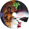 Buchcover MUMON-KAN Zen-Teisho über Fall 4 - WAKUAN: Barbar ohne Bart - 1 CD