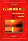 Buchcover Es gibt den Weg