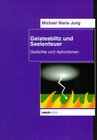 Buchcover Geistesblitz und Seelenfeuer