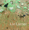 Buchcover Liz Larner