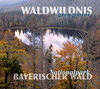 Buchcover Waldwildnis grenzenlos