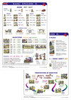 Buchcover Basic English II - Lernkarte DIN A4